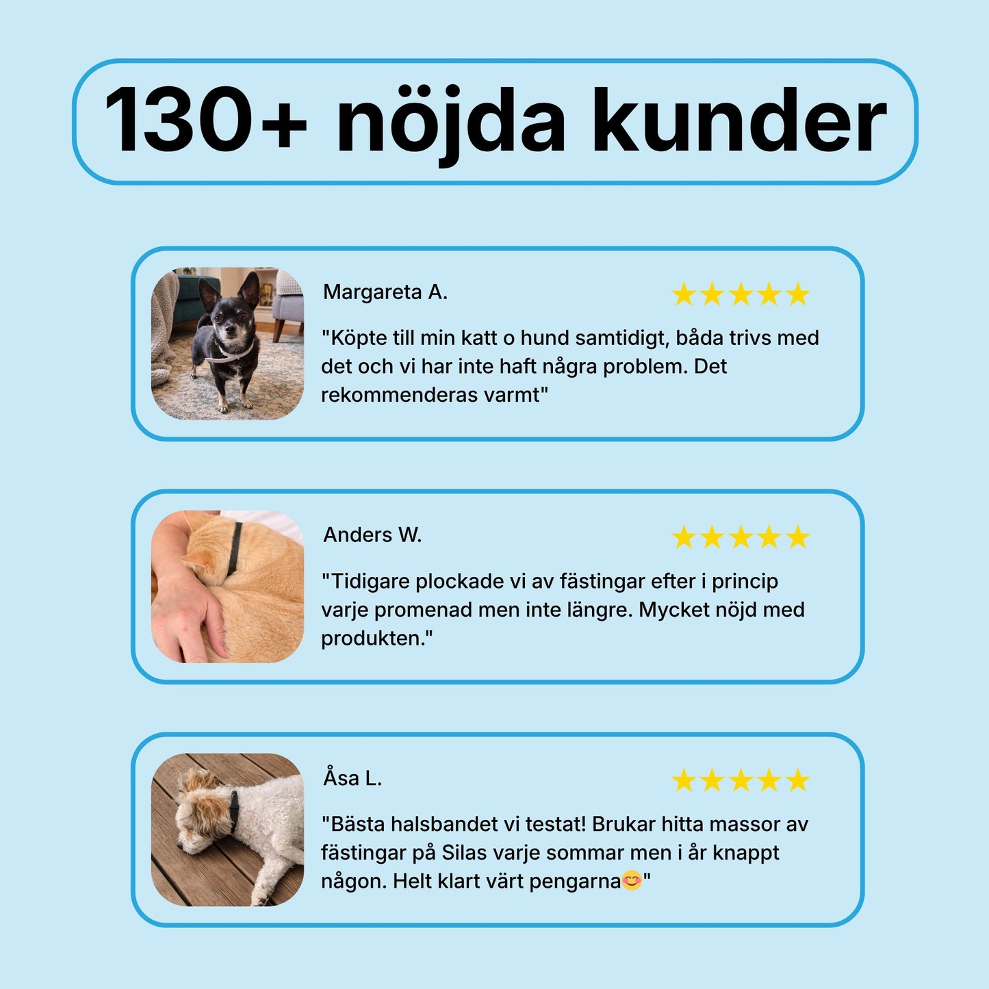 Pälsvakt™ - 8 Månaders naturligt Fästinghalsband för hund