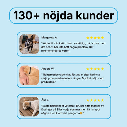 Pälsvakt™ - 8 Månaders naturligt Fästinghalsband för hund