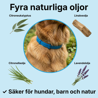 Pälsvakt™ - 8 Månaders naturligt Fästinghalsband för hund