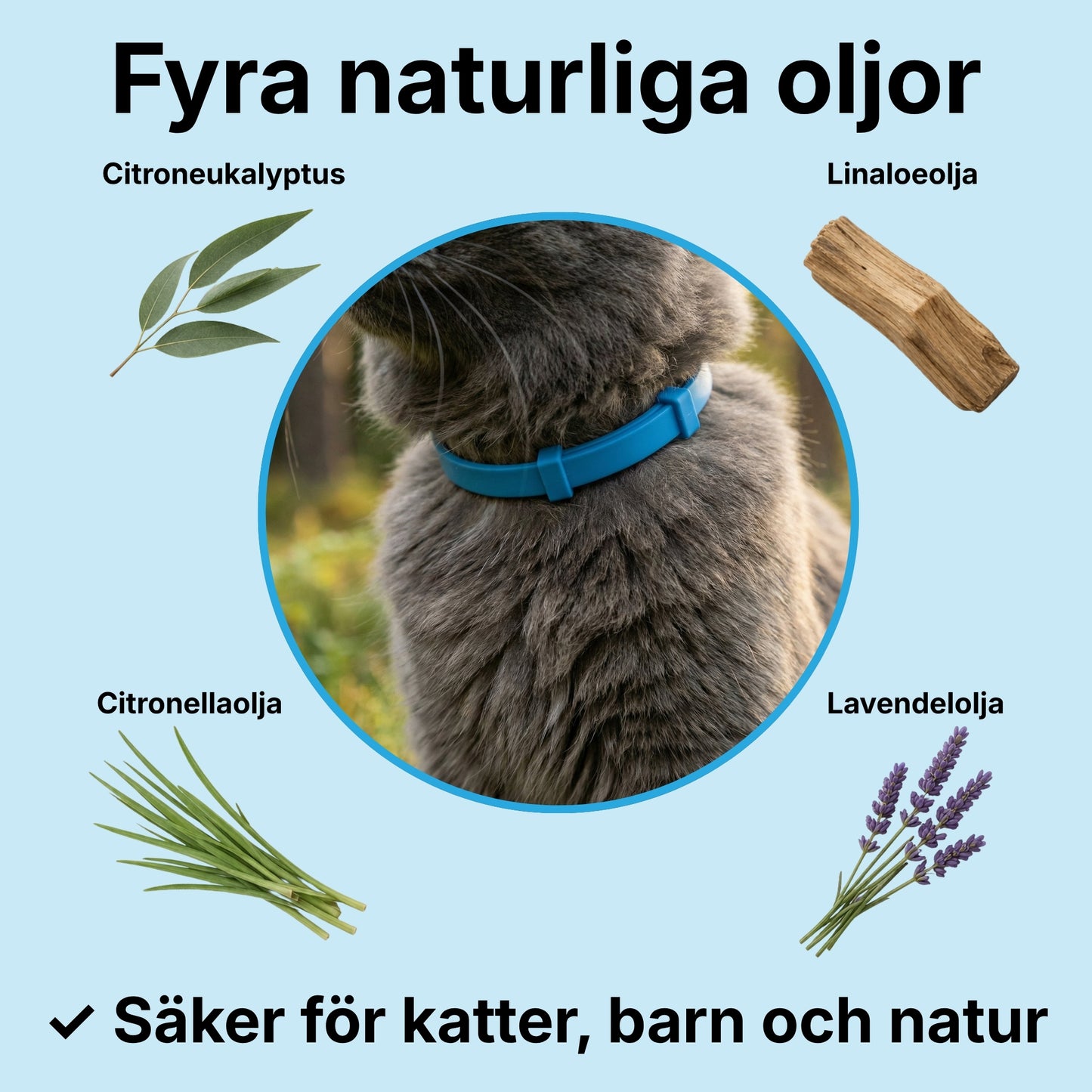 Pälsvakt™ - 8 Månaders naturligt Fästinghalsband för katt