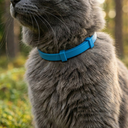 Pälsvakt™ - 8 Månaders naturligt Fästinghalsband för katt